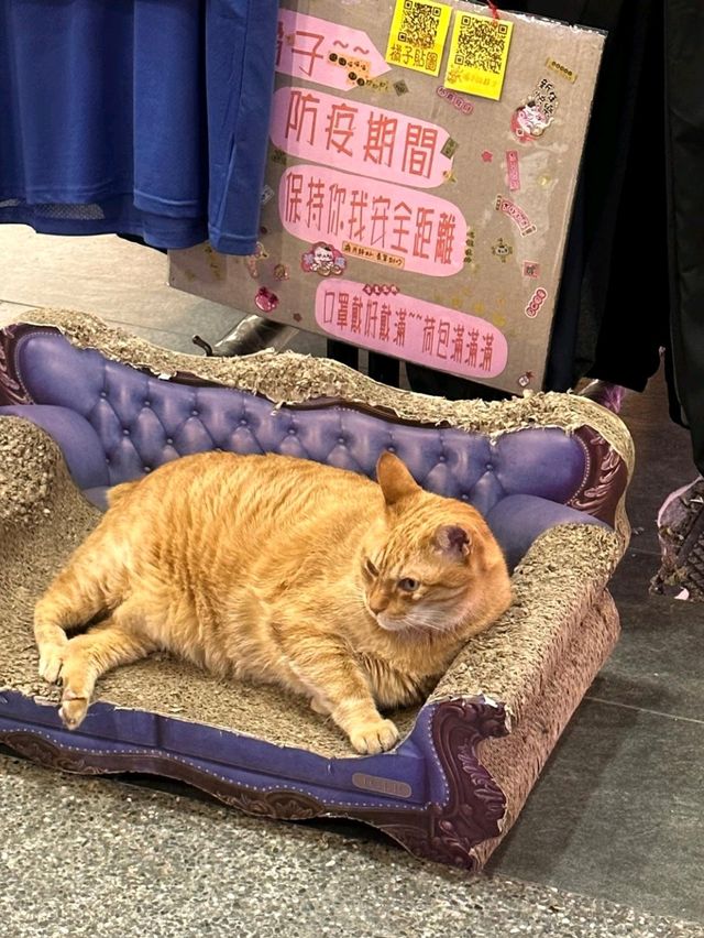 台灣購物必到：西門町