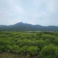 輕鬆自在大澳遊