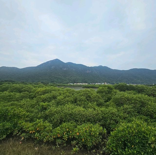 輕鬆自在大澳遊