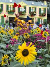 Australian Carnival of Flowers at Flower Dome