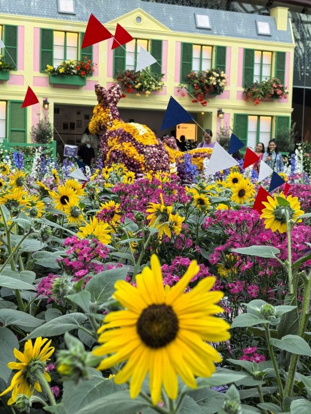 Australian Carnival of Flowers at Flower Dome