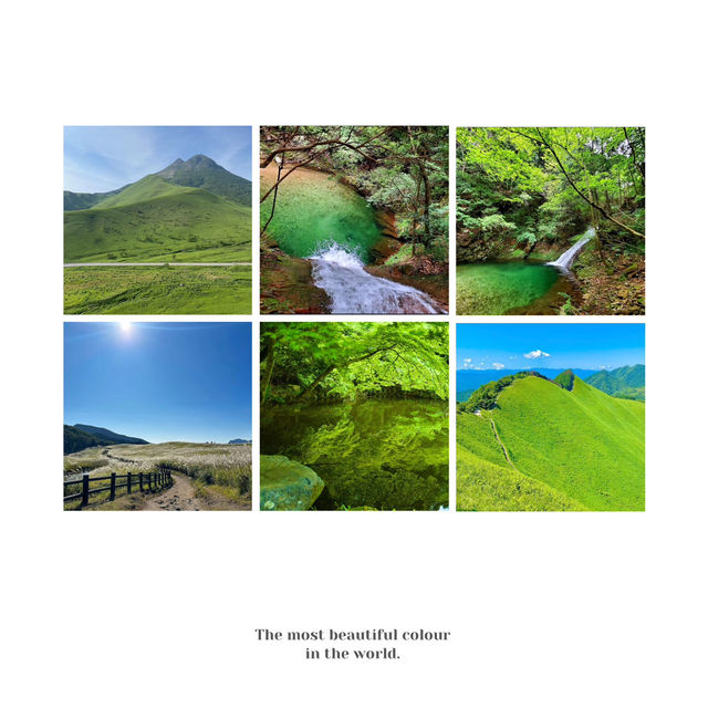 二丿岳：風光明媚⛰️🌿