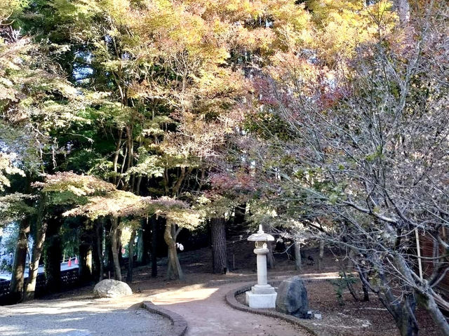 福壽山農場-台中絕美欣賞紅葉景點