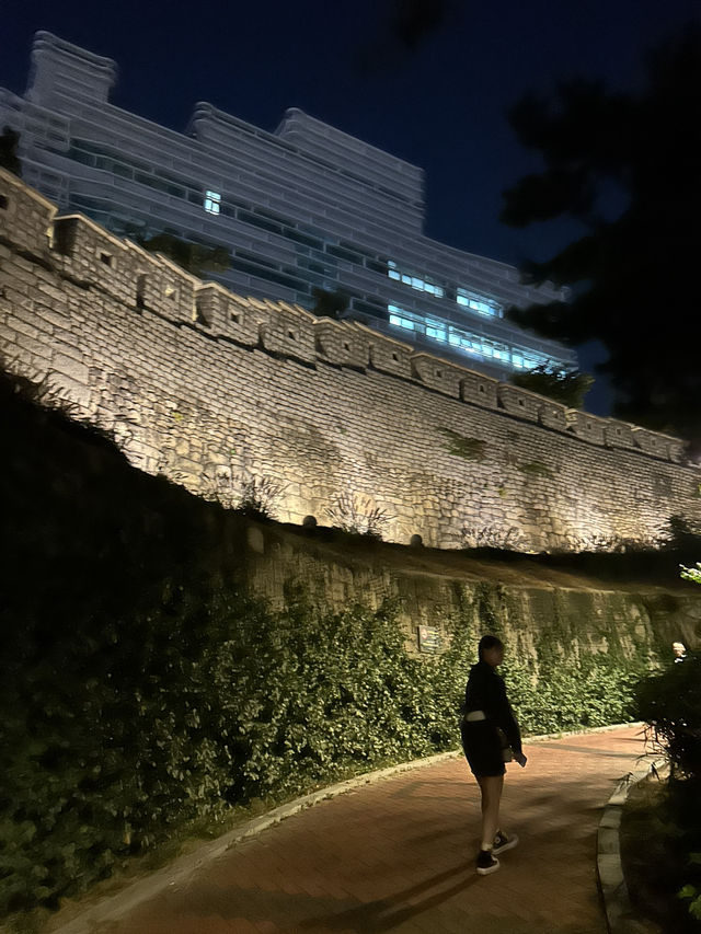 【韓国 ソウル】ソウル市を一望できる素敵な公園⛲️