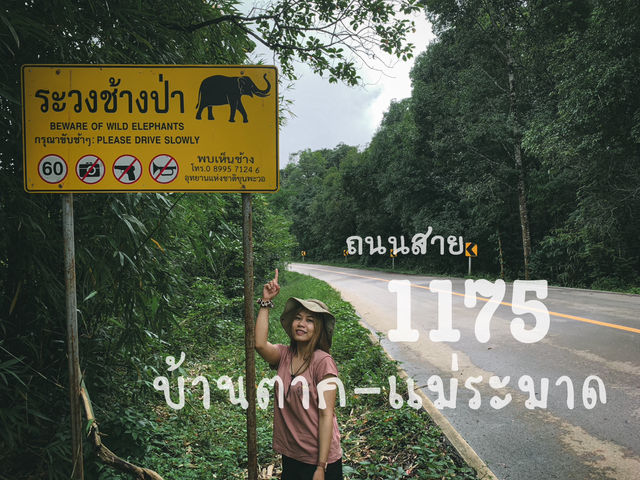 ถนนสาย 1175 บ้านตาก-แม่ระมาด