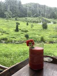 Cafe mandi คาเฟ่เทพนิยาย