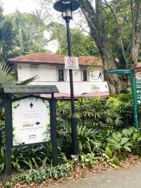 🇸🇬 Exploring the Singapore Botanic Gardens: A Green Oasis in the Garden City