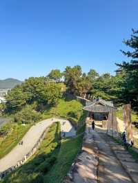 공주 산책하기 좋은 곳 ‘공산성’