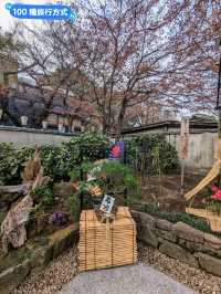 東京賞牡丹花的好去處-上野東照宮牡丹苑