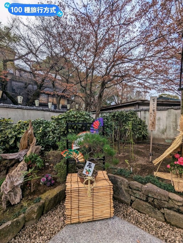 東京賞牡丹花的好去處-上野東照宮牡丹苑