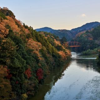 Beautiful Autumn Foliage Spots in Chiba!