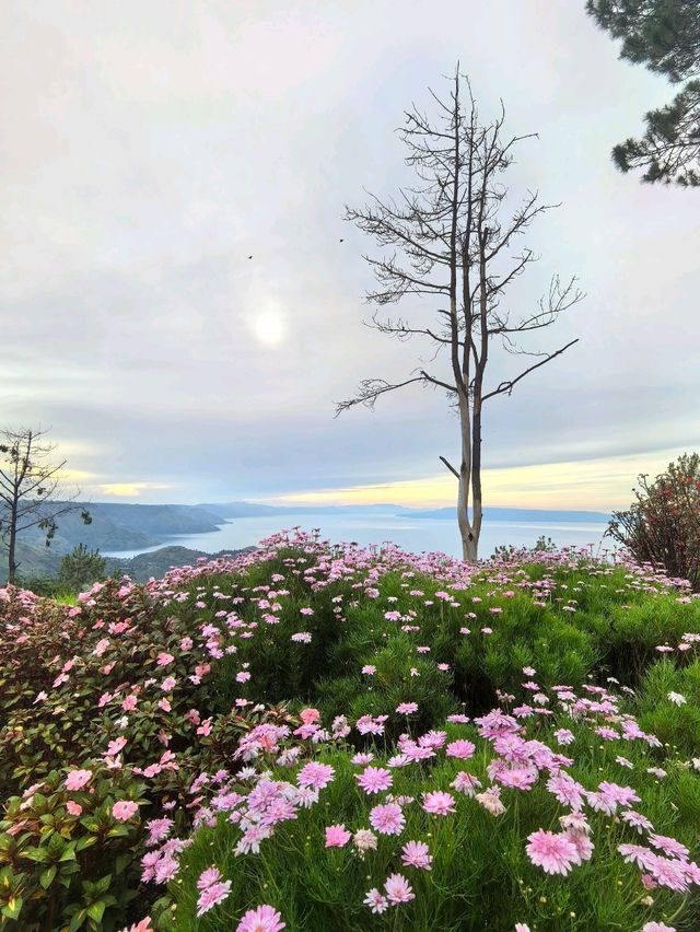 Hotel with amazing view of Lake Toba 