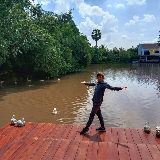 ความสุขกับสวนพอสุข ให้อาหารเป็ดและปลา