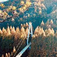 Jangtaesan Natural Recreation Forest – Stunning in Autumn 🍂