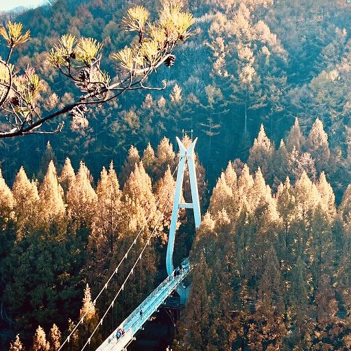Jangtaesan Natural Recreation Forest – Stunning in Autumn 🍂