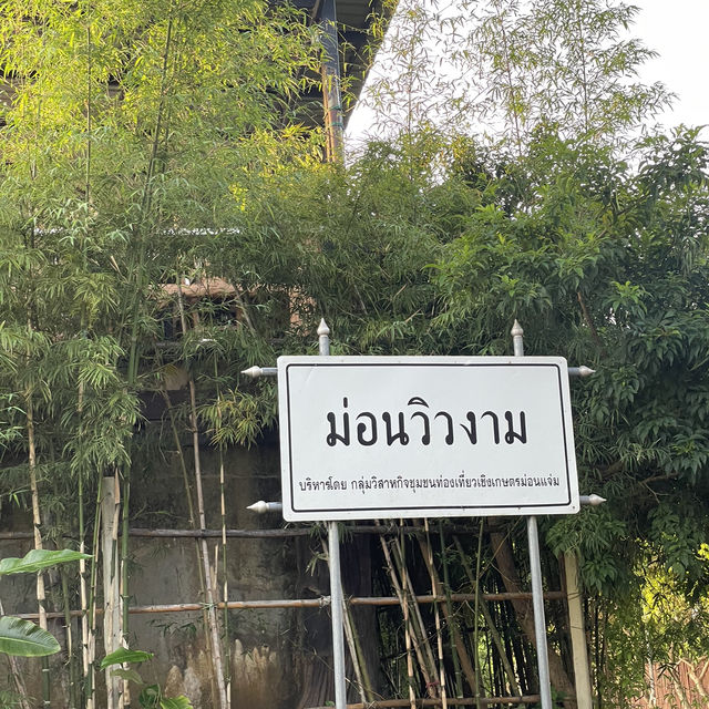 หนาวนี้ ไปเที่ยวที่ม่อนแจ่ม เชียงใหม่