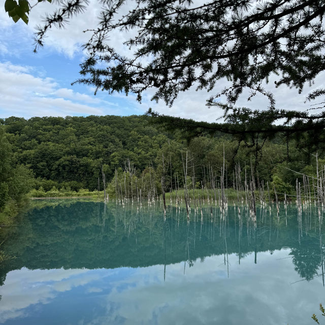🌊✨ **推薦北海道的青池** ✨🌊  🌊✨ **推薦北海道的青池** ✨🌊