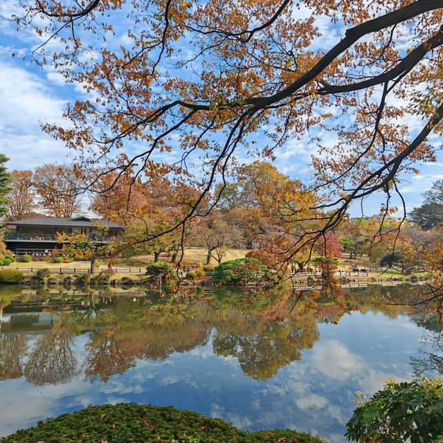 舍人公園：秋色如畫🍂🌳