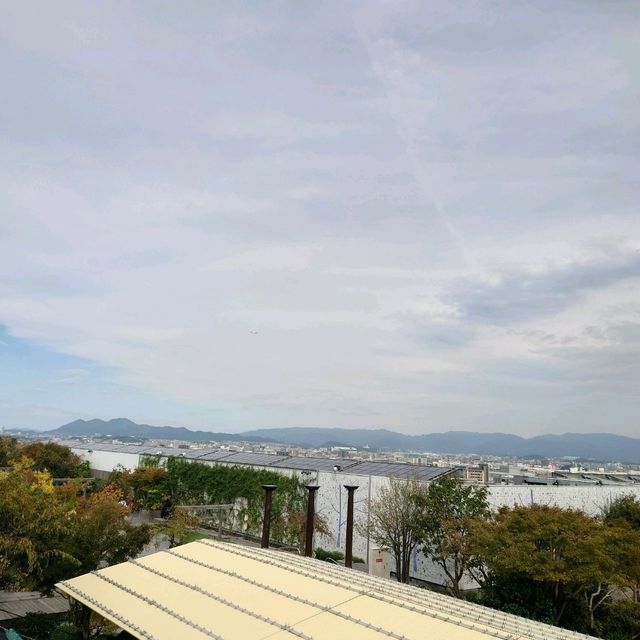 JR博多駅ビルの屋上展望台「つばめの杜ひろば」