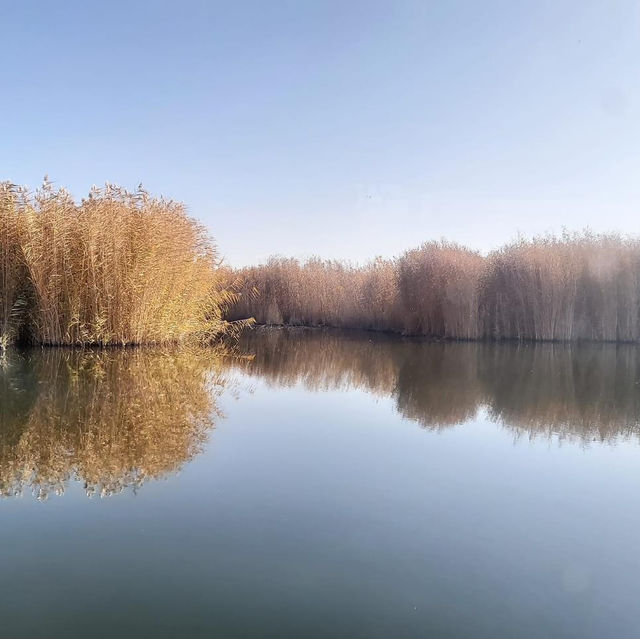 博斯騰湖