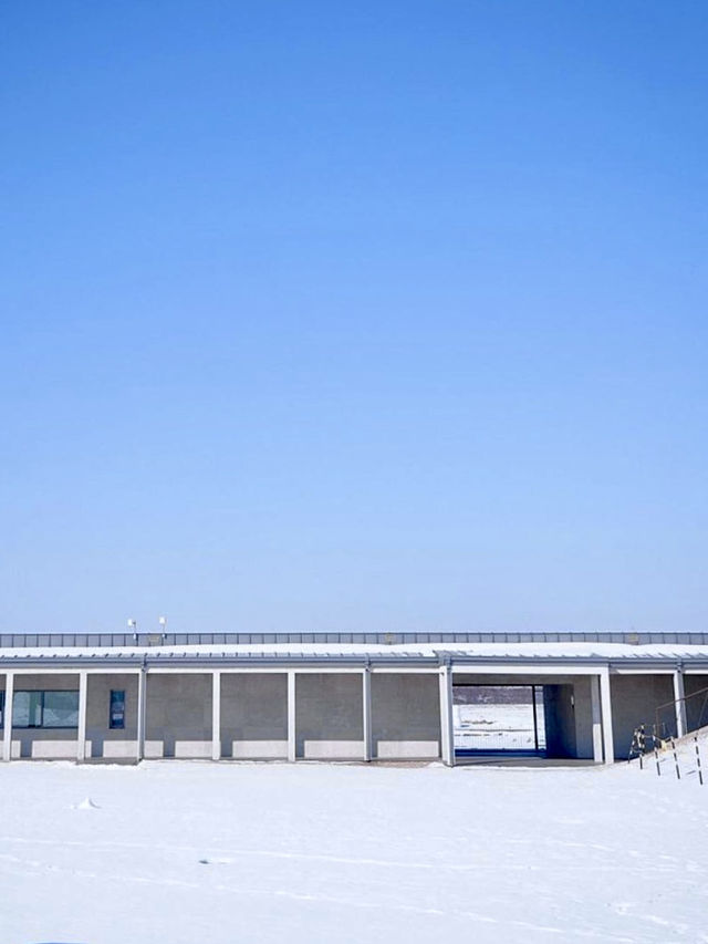 새하얗고 광활한 ❄️겨울 눈의 감성을 느낄수 있는 ☃️ 당진 겨울여행지 