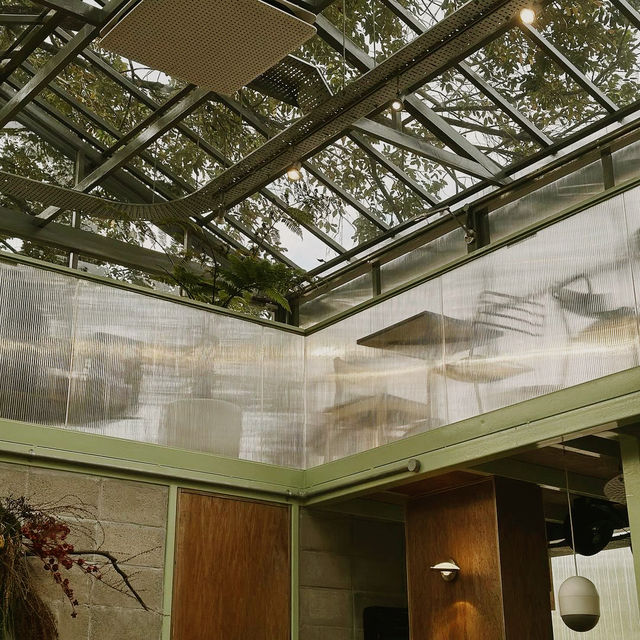 The Glasshopper 