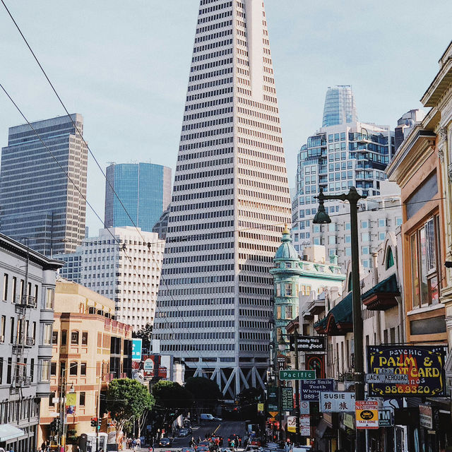 San Francisco: The Golden City of Iconic Sights and Cultural Diversity