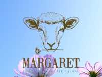 เที่ยวชมทุ่งคอสมอสที่ Margaret Private Villa 
