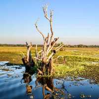 Kakadu National Park, Northern Territory