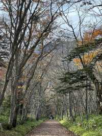 Beyond the Gate: Togakushi Shrine