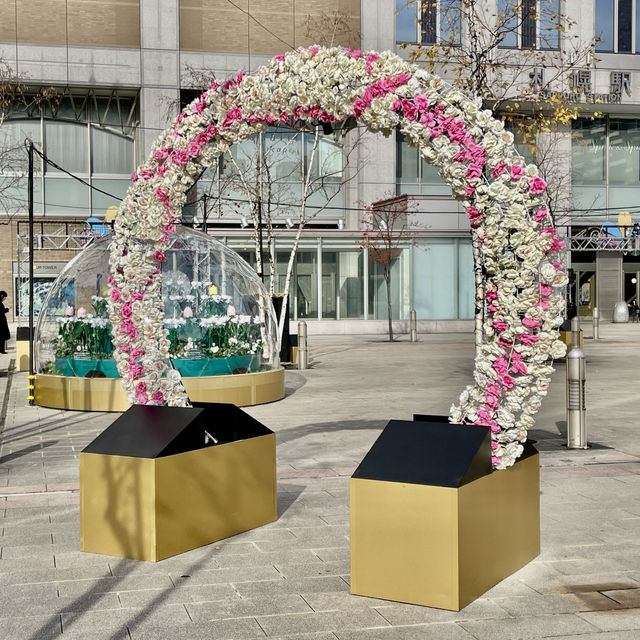 Sapporo: Snow, Flavors, Connections