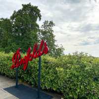 Penfolds Magill Estate Cellar Door