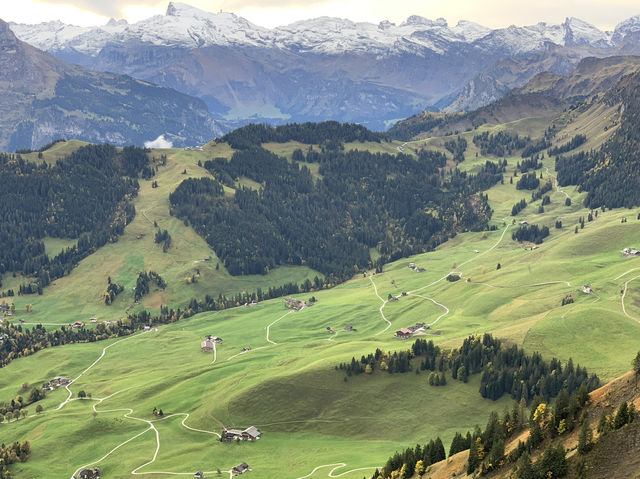 Stanserhorn’s Mystical Beauty on a Gloomy Day