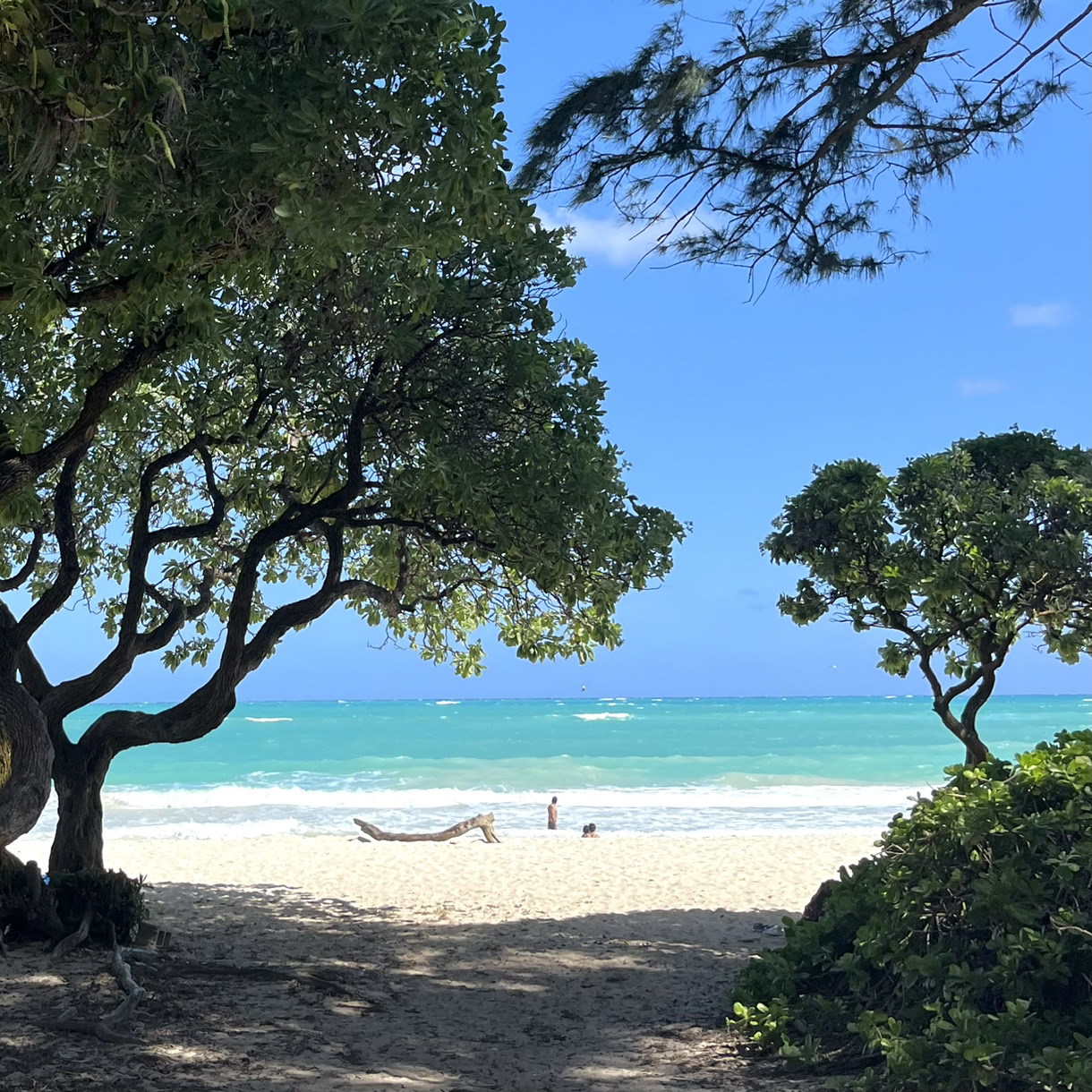 The Most Beautiful Beach in Hawaii Loved by Obama