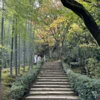 🍁 Nison-in Temple: A Peaceful Autumn Retreat in Arashiyama 🍁