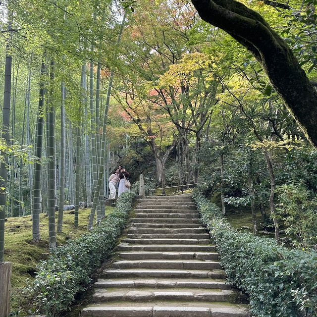 🍁 Nison-in Temple: A Peaceful Autumn Retreat in Arashiyama 🍁