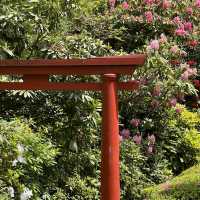 สวนที่สวยอันดับ 2 ในออสเตรเลีย Forest Glade Garden