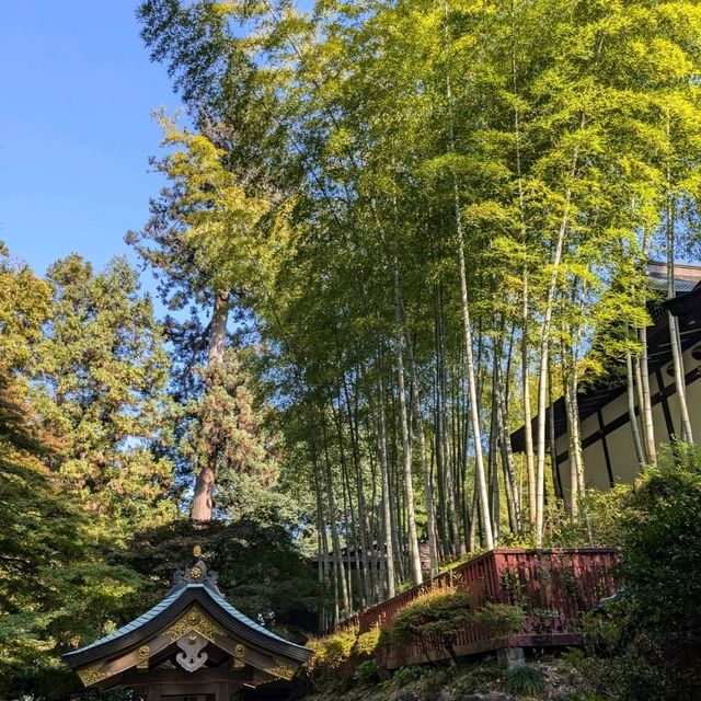 仙台藩主伊達政宗的廟堂，金碧輝煌的「瑞鳳殿」