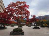 A mighty foliage scene at Sono Moon Danyang