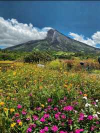 Mayon Volcano: The Perfect Cone of Bicol