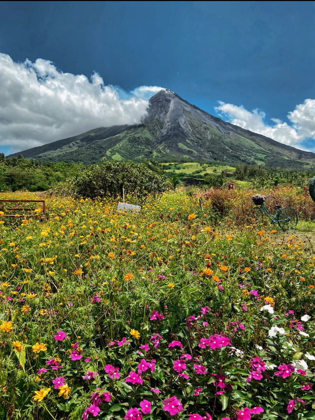 Mayon Volcano: The Perfect Cone of Bicol