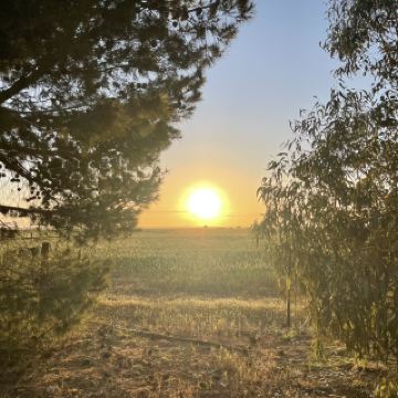 Warooka: เมืองเล็กๆ ที่มีแหล่งท่องเที่ยวธรรมชาติที่ยิ่งใหญ่