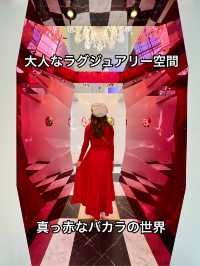 大阪 ❤︎ ラグジュアリーなバカラのクリスマス❤️ 