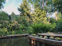 Giethoorn / #Netherlands 荷蘭旅遊 划進童話裡 羊角村讓人一秒就愛上