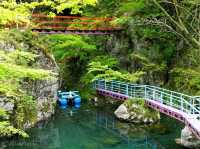 【高知県】SNSで人気に火がついた穴場の絶景スポット「白竜湖」