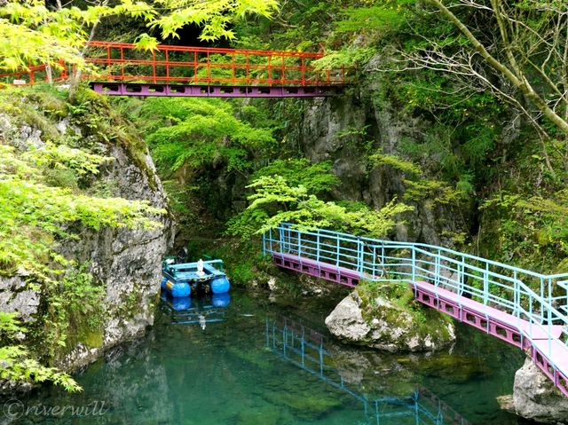 【高知県】SNSで人気に火がついた穴場の絶景スポット「白竜湖」