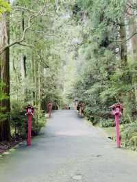 箱根人氣景點 -  箱根神社 水中鳥居⛩️