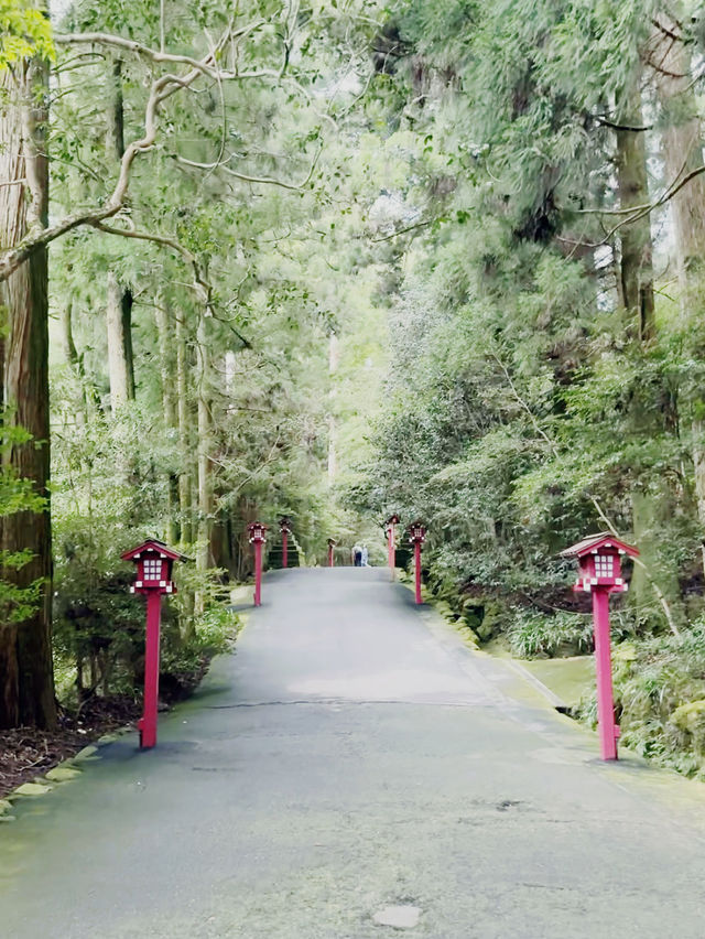 箱根人氣景點 -  箱根神社 水中鳥居⛩️