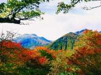 栃木🇯🇵那須岳