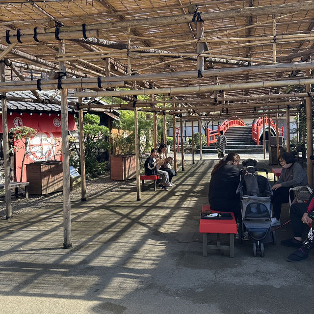 Edo wonderland 